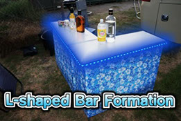 hawaiian theme party bar for rent